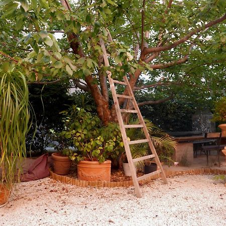Jardin Vieux Port Panier Marselha Exterior foto