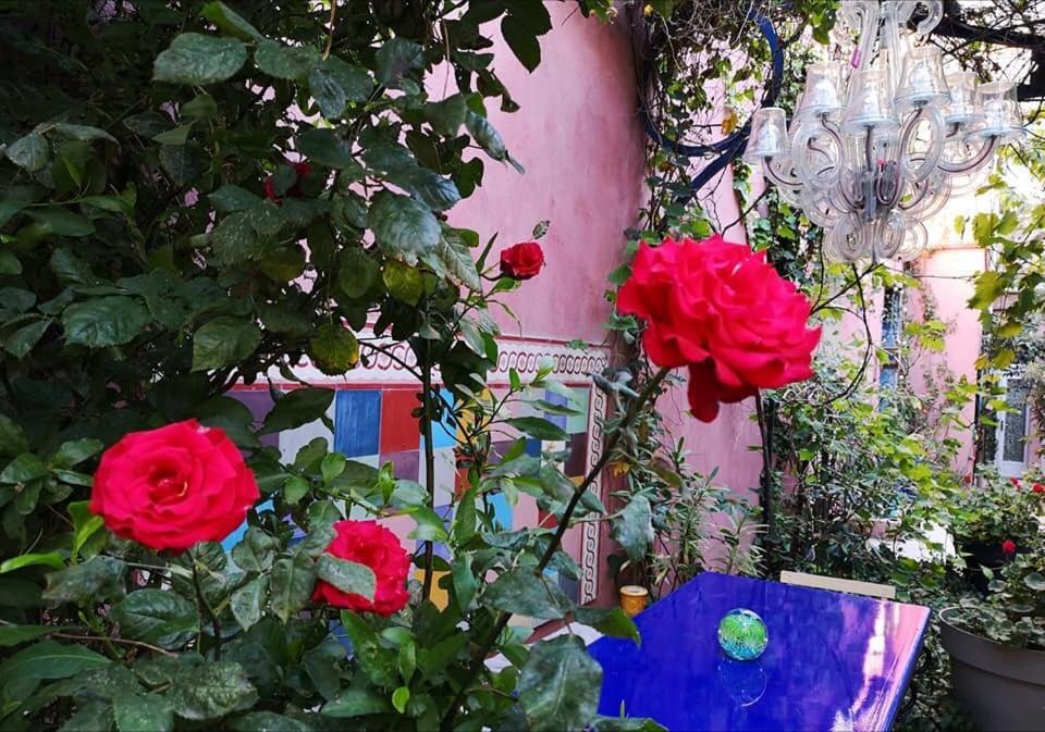 Jardin Vieux Port Panier Marselha Exterior foto